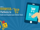 The Best eCommerce Platforms to Build and Expand your Online Store
